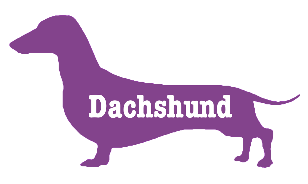 purple dachshund logo